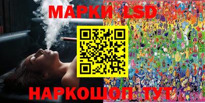 apvp Кингисепп