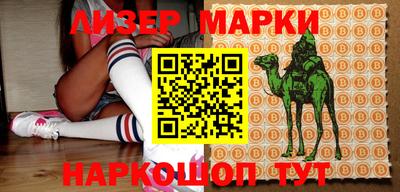 apvp Кингисепп