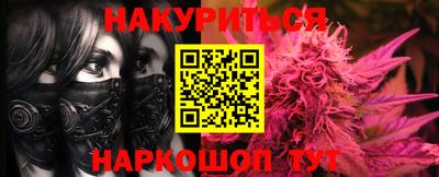 apvp Кингисепп