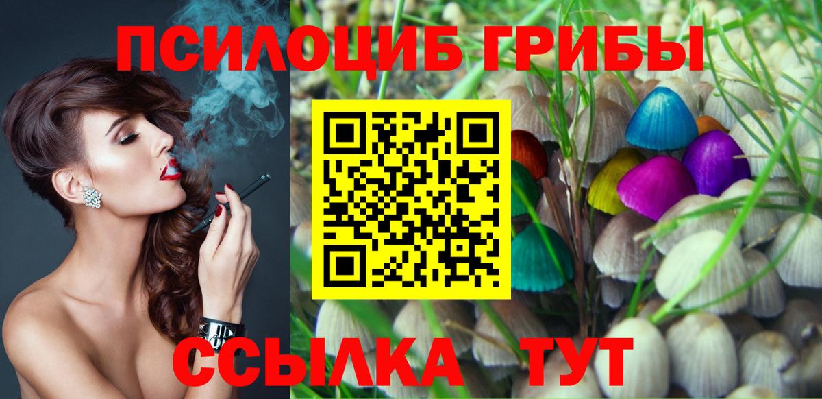 Сухой Лог  Галлюциногенные грибы Cubensis  Вход с VPN 